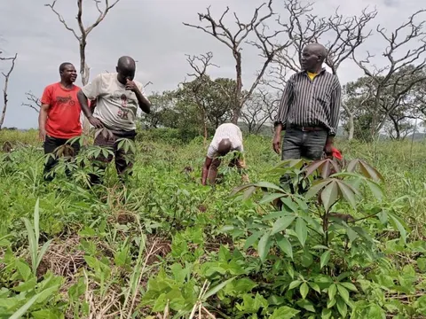 L'équipe du programme dhongo en mobilisation